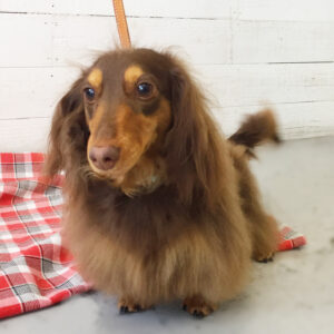 凜ちゃん施術後