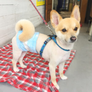 仕上がりミックス