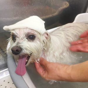 お風呂ミックス