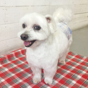 仕上がりミックス