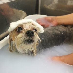 お風呂ミックス