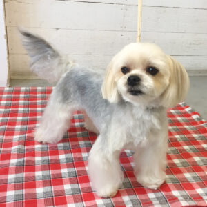 仕上がりミックス