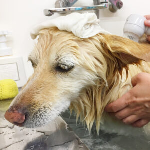 お風呂ミックス