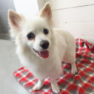 仕上がりミックス