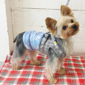 仕上がりヨーキー