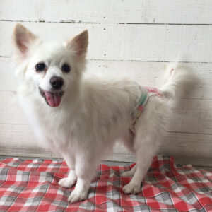 仕上がりミックス