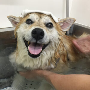 モモカちゃんスパ中