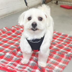 仕上がりミックス