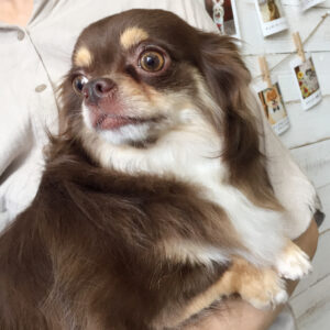 ねるちゃん施術後