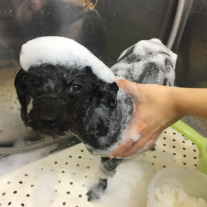 シャンプーミックス