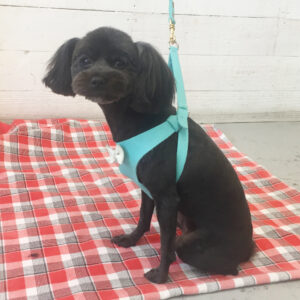 仕上がりミックス