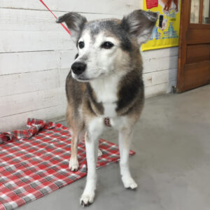 仕上がりミックス