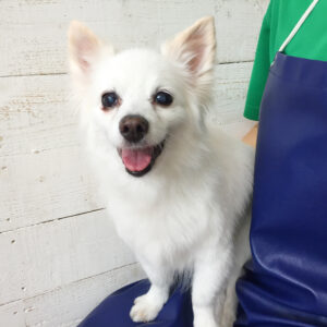 仕上がりミックス