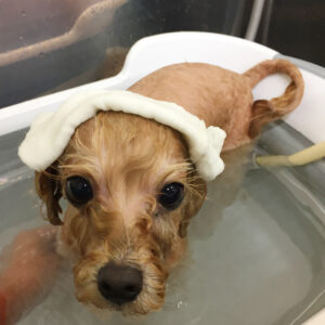 お風呂ミックス