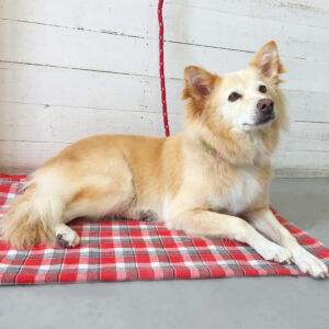 仕上がりミックス