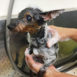 シャンプーミックス