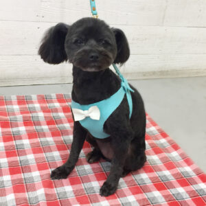 仕上がりミックス