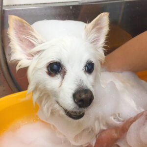 お風呂ミックス