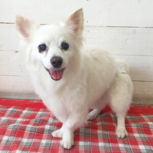 仕上がりミックス